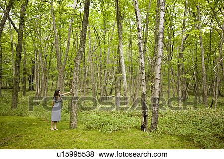 Stock Photo - Young woman standing in forest, leaning on tree trunk, Tochigi prefecture, Japan. Fotosearch