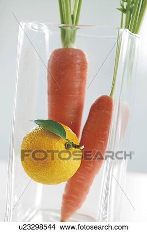 Yuzu citron and carrots in a glass vase View Large Photo Image Picture - Yuzu citron and carrots in a glass vase. Fotosearch