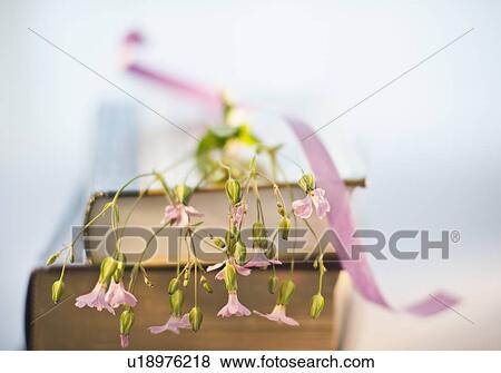 Stock Photo - Antique books. Fotosearch
