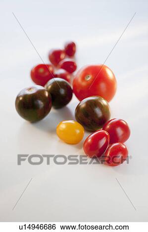 Stock Photograph - Assortment Tomatoes. Fotosearch