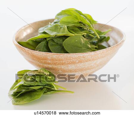 Stock Photo - Baby spinach. Fotosearch