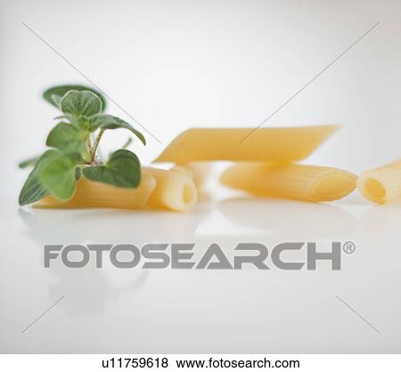 Basil View Large Photo Image Stock Photo - Basil. Fotosearch