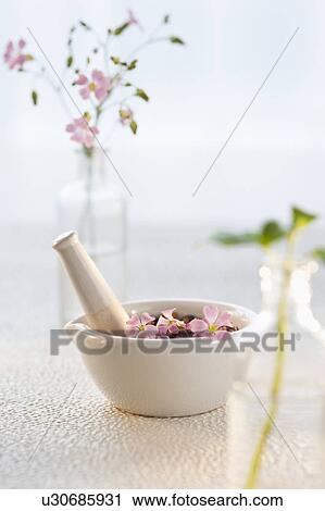Bowl of flowers View Large Photo Image Stock Image - Bowl of flowers. Fotosearch
