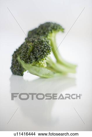 Picture - Broccoli. Fotosearch