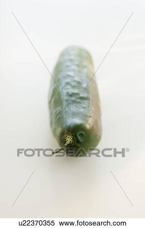 Stock Photography - Cucumber. Fotosearch