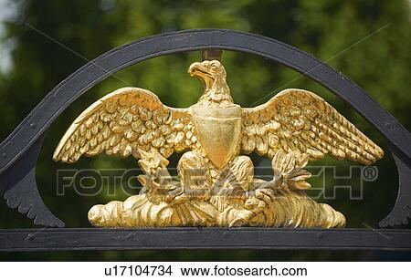 Picture - Eagle decoration. Fotosearch