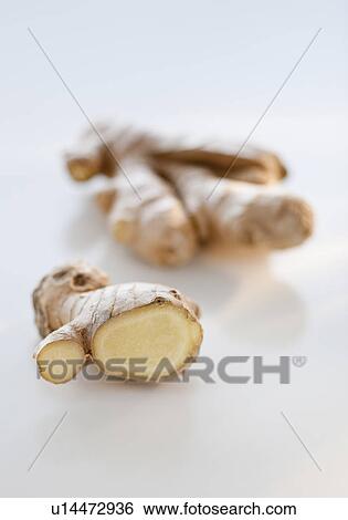 Stock Photograph - Ginger. Fotosearch