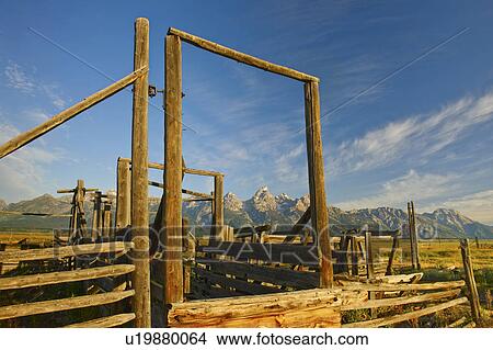 Picture - Grand Tetons National Park. Fotosearch
