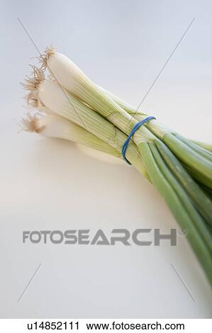 Green onions View Large Photo Image Stock Image - Green onions. Fotosearch