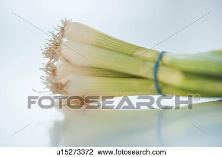 Stock Image - Green onions. Fotosearch