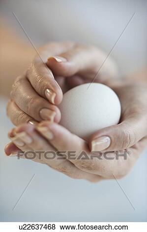 Stock Photo - Hands holding egg. Fotosearch