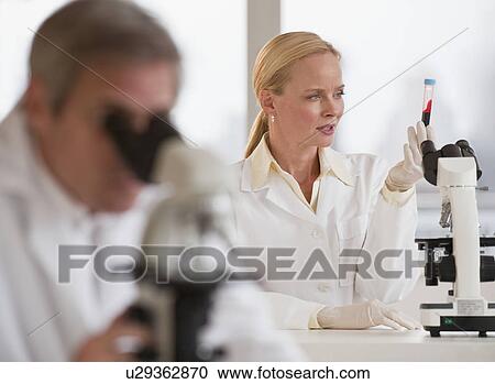 Researchers working in lab View Large Photo Image Stock Image - Researchers working in lab. Fotosearch