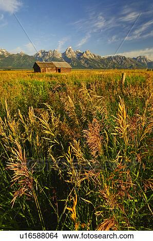 Scenic view of cabin near mountains View Large Photo Image Picture - Scenic view of cabin near mountains. Fotosearch