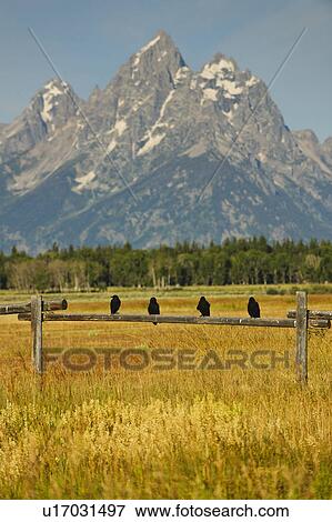 Scenic view of mountains View Large Photo Image Stock Photo - Scenic view of mountains. Fotosearch