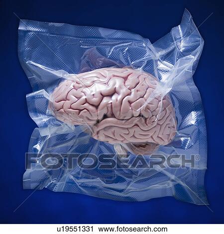 Shrink wrapped brain View Large Photo Image Stock Image - Shrink wrapped brain. Fotosearch