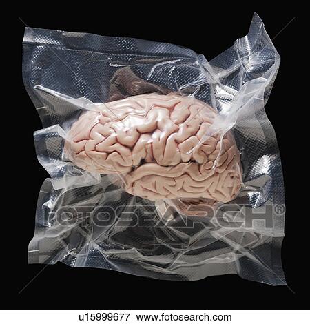 Shrink wrapped brain View Large Photo Image Stock Photo - Shrink wrapped brain. Fotosearch