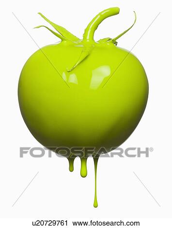Tomatoe dripping with color View Large Photo Image Stock Image - Tomatoe dripping with color. Fotosearch