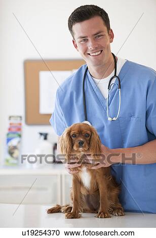 Stock Image - Vet with dog. Fotosearch