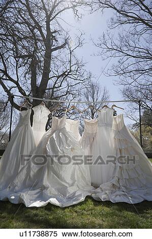 Wedding dresses View Large Photo Image Stock Photography - Wedding dresses. Fotosearch