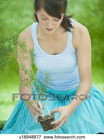 Woman gardening View Large Photo Image Stock Photo - Woman gardening. Fotosearch