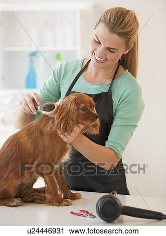 Woman grooming dog View Large Photo Image Stock Image - Woman grooming dog. Fotosearch