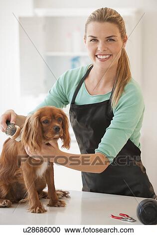 Stock Image - Woman grooming dog. Fotosearch