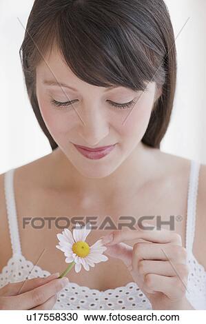 Woman plucking daisy View Large Photo Image Stock Image - Woman plucking daisy. Fotosearch