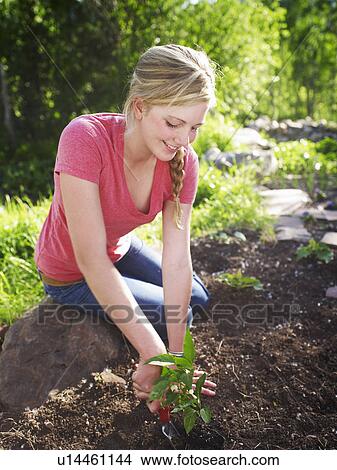Woman working in garden View Large Photo Image Picture - Woman working in garden. Fotosearch