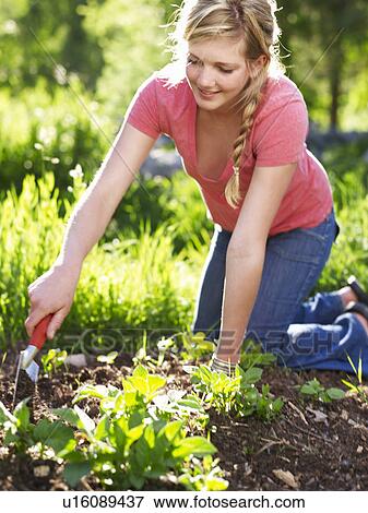 Stock Photo - Woman working in garden. Fotosearch
