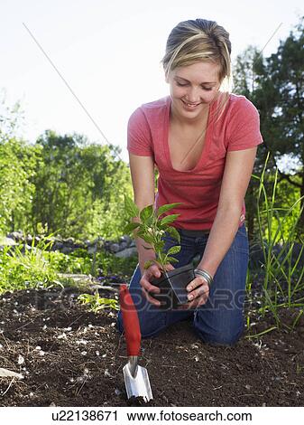 Stock Image - Woman working in the garden. Fotosearch