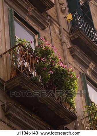 Stock Image - Balcony with flowers in Naples. Fotosearch