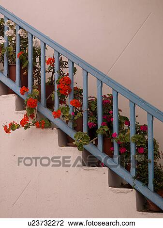 Stock Image - Blue rail and flowers in Mykonos Greece. Fotosearch