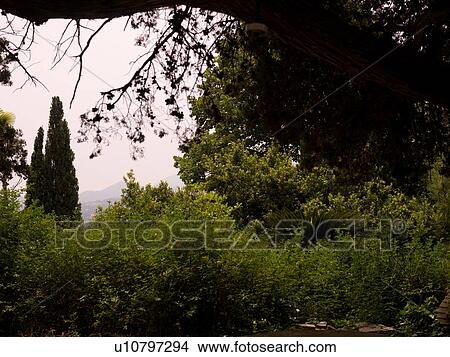 Corfu landscape View Large Photo Image Picture - Corfu landscape. Fotosearch