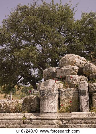 Stock Image - Ephesus in Kusadasi Turkey. Fotosearch