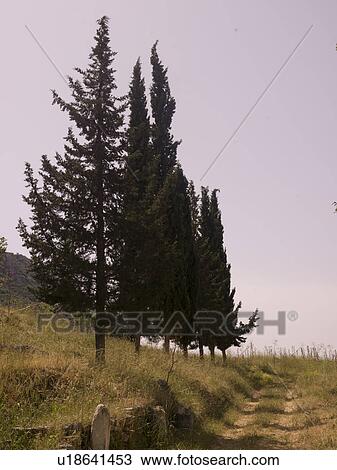 Stock Image - Ephesus in Kusadasi Turkey. Fotosearch