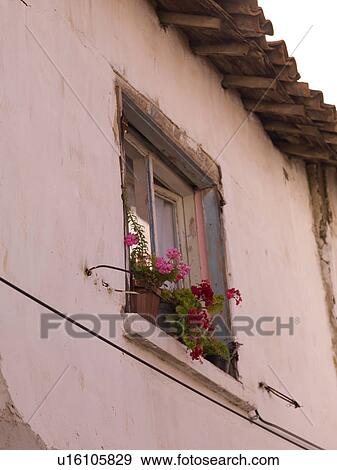 Stock Photo - Flowers in a window in Kusadasi Turkey. Fotosearch