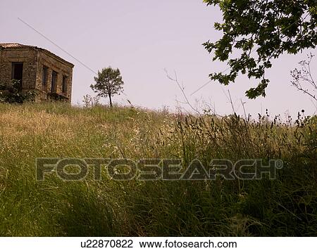 Stock Image - Katakolon countryside. Fotosearch