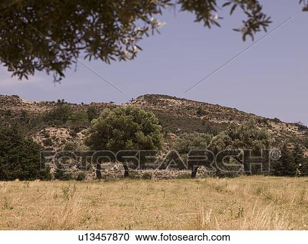 Landscape in Rhodes Greece View Large Photo Image Stock Image - Landscape in Rhodes Greece. Fotosearch