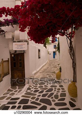 Narrow street in Mykonos Greece View Large Photo Image Picture - Narrow street in Mykonos Greece. Fotosearch