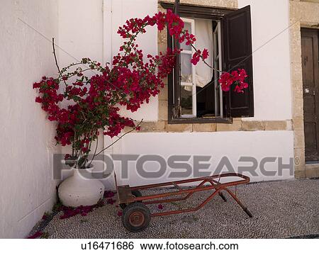 Stock Photograph - Planter with flowers in Rhodes Greece. Fotosearch