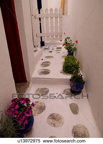 Potted plants in Mykonos Greece View Large Photo Image Stock Photography - Potted plants in Mykonos Greece. Fotosearch
