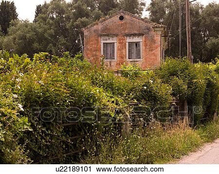 Rural home in Corfu View Large Photo Image Stock Image - Rural home in Corfu. Fotosearch
