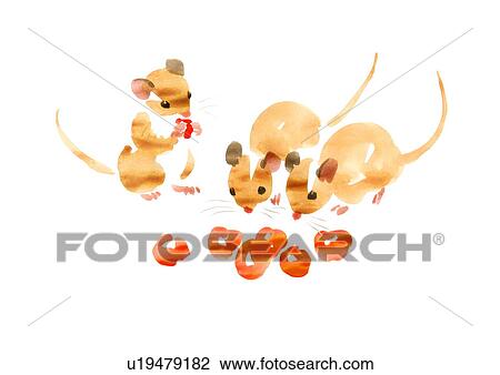 イラスト の ３ マウス 食べること そして 見る サクランボ 白い背景 ストックイメージ U Fotosearch