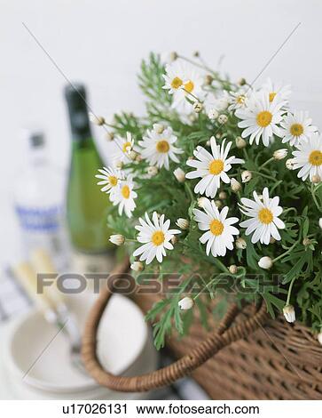 A basket of flowers on a table with bowls and bottles View Large Photo Image Stock Image - A basket of flowers on a table with bowls and bottles. Fotosearch