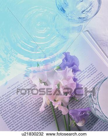 Stock Image - A book and flowers disturbed by a ripple. Fotosearch