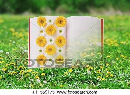 Stock Photography - A book full of flowers fades into the meadow. Fotosearch