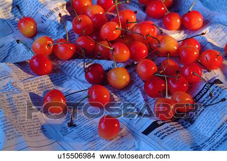 Picture - A Bunch of Cherries. Fotosearch