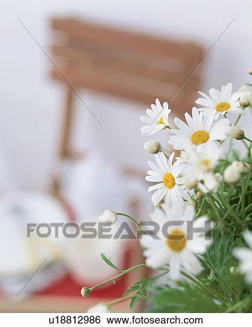 Stock Photograph - A bunch of flowers with a chair in the background. Fotosearch