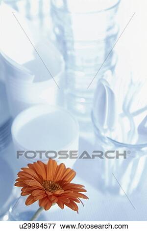 A collection of crockery and glassware with a single flower View Large Photo Image Stock Photo - A collection of crockery and glassware with a single flower. Fotosearch