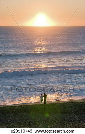 A Couple at the Beach at Dawn View Large Photo Image Stock Image - A Couple at the Beach at Dawn. Fotosearch